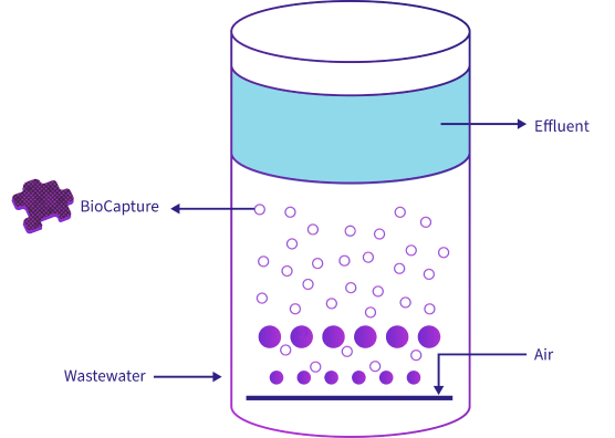 Gradiant BoCapture MBBR 다이어그램