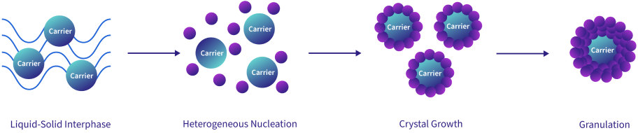 FBC 결정 성장 단계