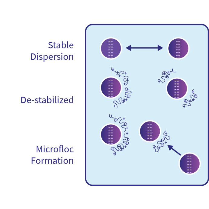 Coagulation