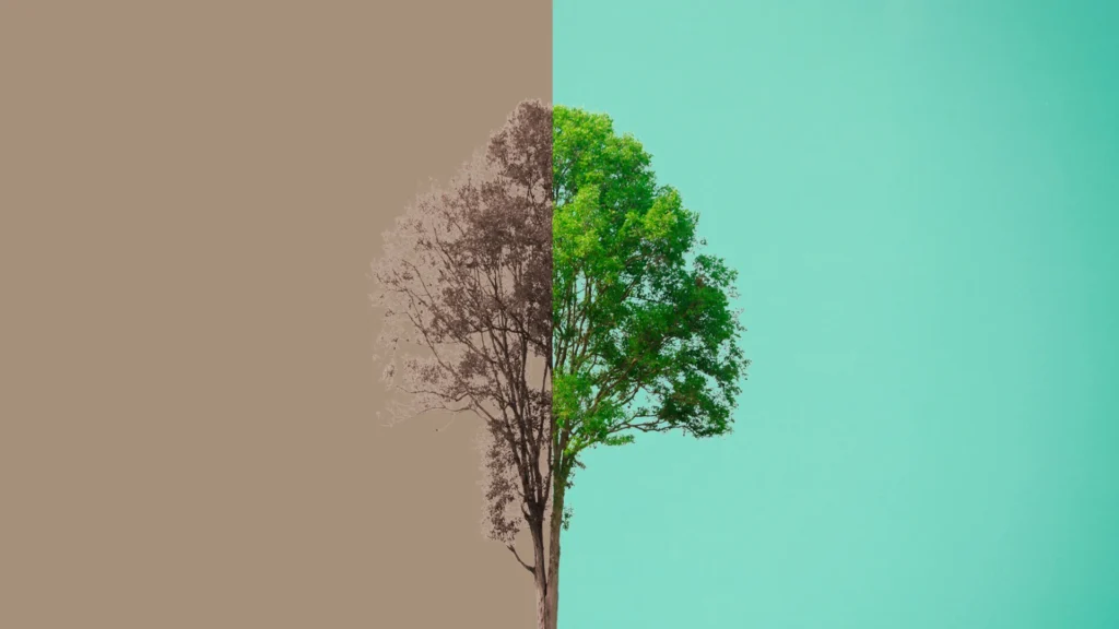 Half-dry, half-green tree split across two color backgrounds, representing the stark contrast of drought and vitality, a visual metaphor for climate change and water scarcity.